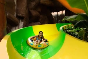 Costa Adeje: Aqualand Wasserpark Ticket mit Delphinshow