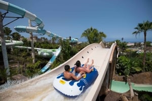 Costa Adeje: Aqualand Wasserpark Ticket mit Delphinshow