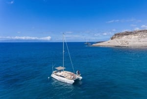 Costa Adeje: Catamaran Tour, Snorkelling, Snacks & Drinks