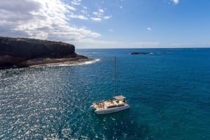 Costa Adeje: Catamaran Tour, Snorkelling, Snacks & Drinks