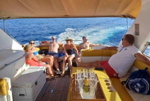 Коста-Адехе:, частный чартер, частная экскурсия