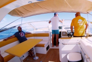 Коста-Адехе:, частный чартер, частная экскурсия