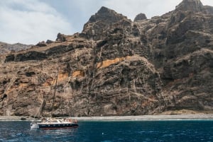 Costa Adeje: Busca Delfines y Ballenas en un Eco-Crucero