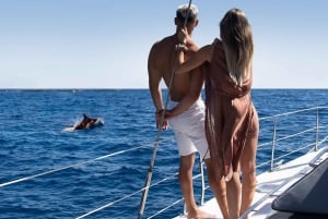 Costa Adeje Exclusive Cat 3 hrs. Trip Whales and Dolphins