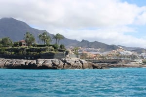 Costa Adeje Exclusive Cat 3 hrs. Trip Whales and Dolphins