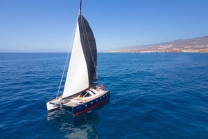 Costa Adeje Eksklusiv kat 3 timer. Tur Hvaler og delfiner