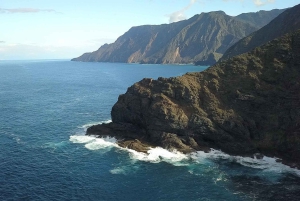 Costa Adeje Eksklusiv kat 3 timer. Tur Hvaler og delfiner