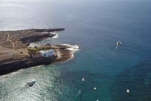 Costa Adeje Eksklusiv kat 3 timer. Tur Hvaler og delfiner