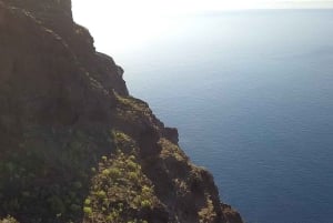 Costa Adeje Eksklusiv kat 3 timer. Tur Hvaler og delfiner