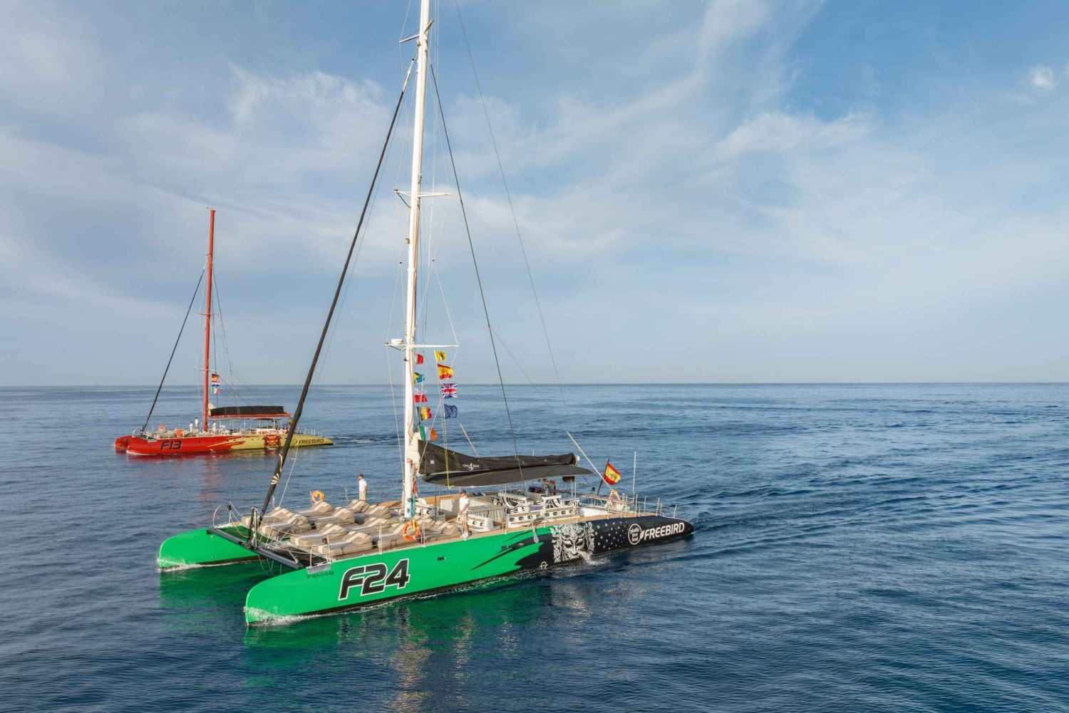 Коста Адехе: круиз по наблюдению за китами Маска и Лос-Гигантес