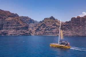 Коста Адехе: круиз по наблюдению за китами Маска и Лос-Гигантес