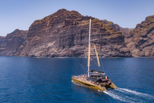 Коста Адехе: круиз по наблюдению за китами Маска и Лос-Гигантес