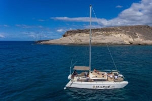 Costa Adeje: Private Catamaran Tour 22 Persons Max
