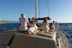 Costa Adeje: Private Catamaran Tour 22 Persons Max