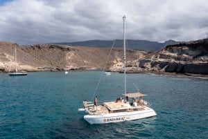 Costa Adeje: Private Catamaran Tour 22 Persons Max