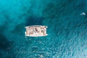 Costa Adeje: Private Catamaran Tour 22 Persons Max