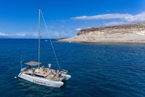 Costa Adeje: Private Catamaran Tour 22 Persons Max