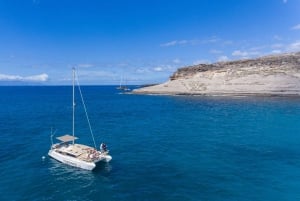 Costa Adeje: Private Catamaran Tour 22 Persons Max