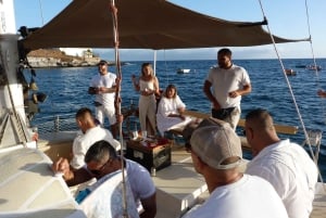 Costa Adeje: Private Catamaran Tour 22 Persons Max