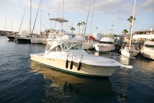 Costa Adeje: excursão de iate particular saindo de Puerto Colón