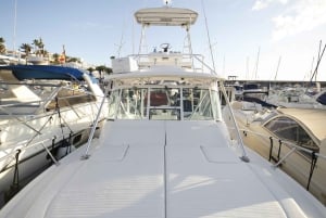 Costa Adeje: excursão de iate particular saindo de Puerto Colón