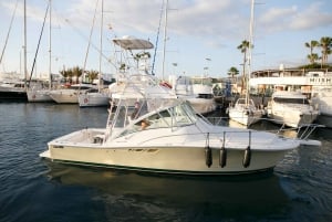 Costa Adeje: excursão de iate particular saindo de Puerto Colón