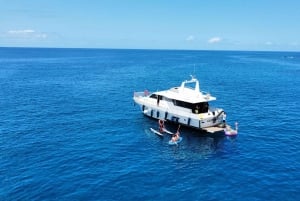 Costa Adeje: Privater Yachttrip mit Wassersport und Rutschen