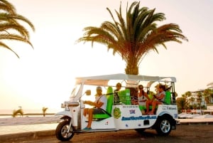 Costa Adeje: Secret Volcano Tuk Tuk Tour