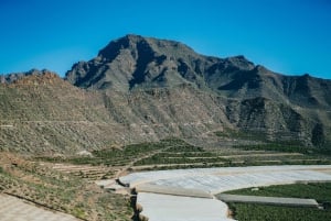 Costa Adeje: Secret Volcano Tuk Tuk Tour