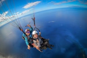Costa Adeje: Tandemvlucht paragliding met ophaalservice