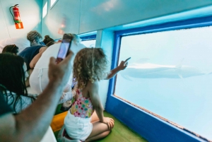 Costa Adeje: Whale & Dolphin Submarine Vision Mini Cruise
