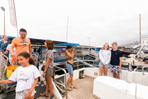 Costa Adeje: Whale & Dolphin Submarine Vision Mini Cruise