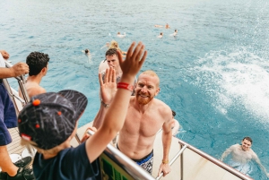 Costa Adeje: Whale & Dolphin Submarine Vision Mini Cruise