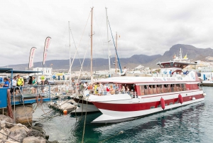 Costa Adeje: Whale & Dolphin Submarine Vision Mini Cruise