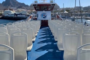 Costa Adeje: walvis- en dolfijntour met onderwaterzicht