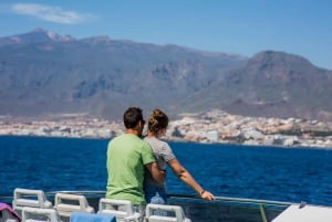 Costa Adeje: walvis- en dolfijntour met onderwaterzicht