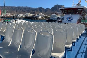 Costa Adeje: walvis- en dolfijntour met onderwaterzicht