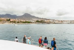 Costa Adeje: walvis- en dolfijntour met onderwaterzicht