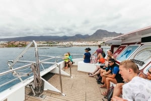 Costa Adeje: walvis- en dolfijntour met onderwaterzicht