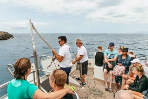 Costa Adeje: walvis- en dolfijntour met onderwaterzicht