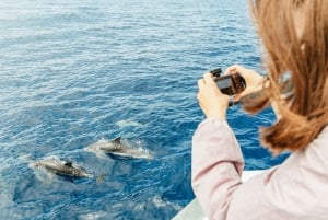 Costa Adeje: walvis- en dolfijntour met onderwaterzicht
