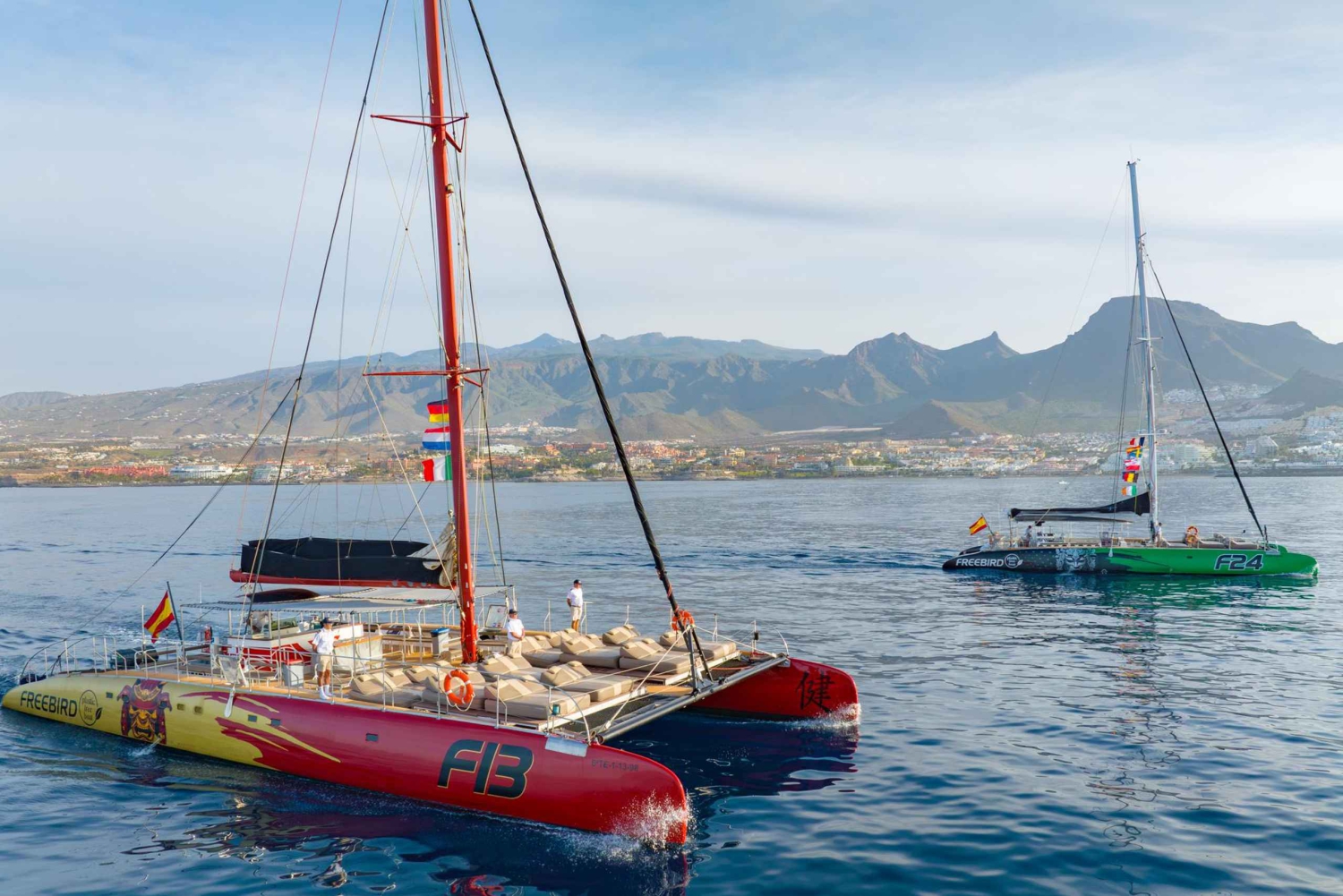 Costa Adeje: Hvalsejlads med snack og drikkevarer
