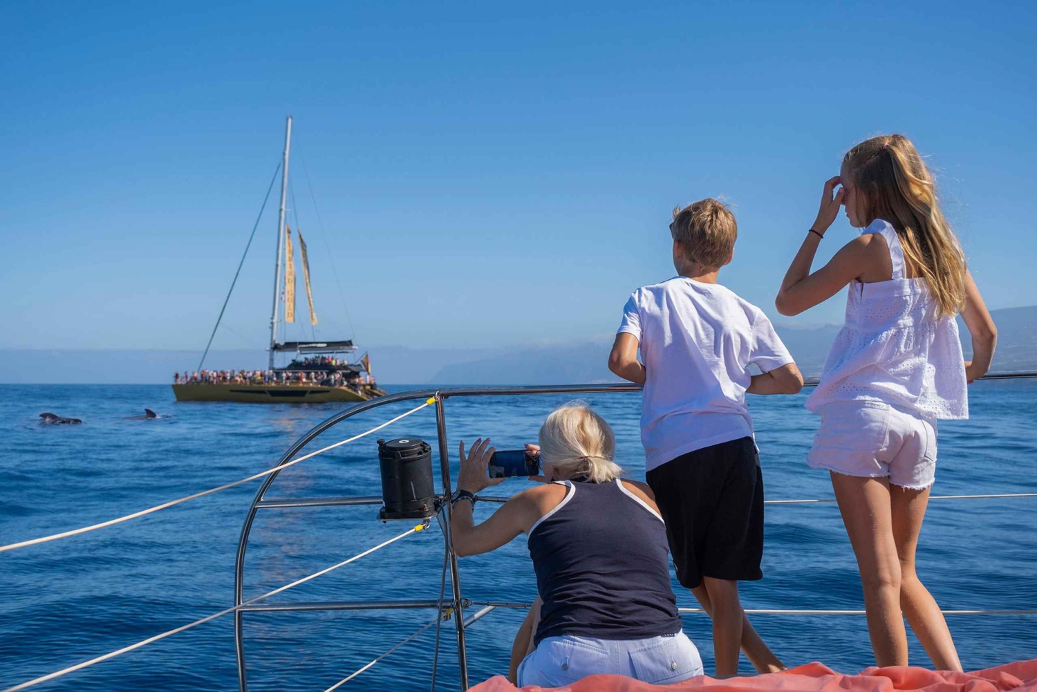 Costa Adeje: Hvalsejlads med snack og drikkevarer