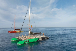 Costa Adeje: Hvalsejlads med snack og drikkevarer