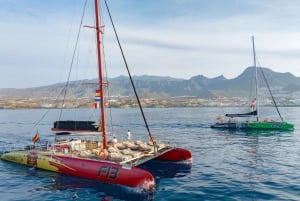 Costa Adeje: Hvalsejlads med snack og drikkevarer