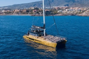 Costa Adeje: Hvalsejlads med snack og drikkevarer