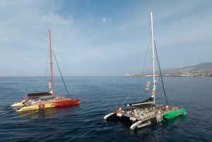 Costa Adeje: Hvalsejlads med snack og drikkevarer