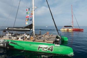 Costa Adeje: Hvalsejlads med snack og drikkevarer