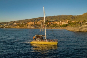 Costa Adeje: Hvalsejlads med snack og drikkevarer