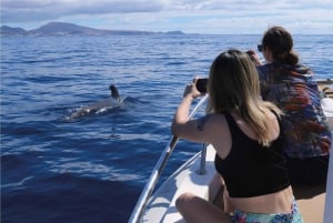 Costa Adeje: Whale Watching Eco Experience with Hydrophone.